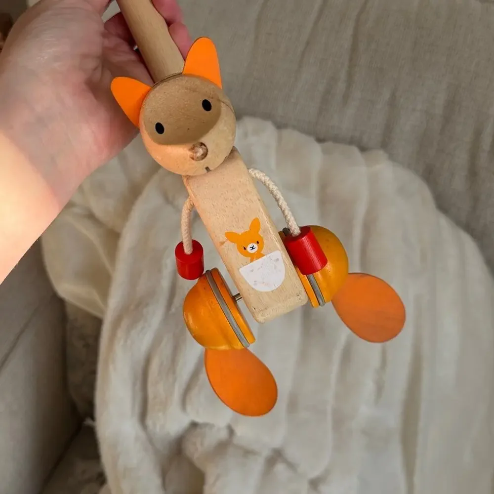 PLAN TOYS Push Toy for Toddlers | Montessori Wooden Toys